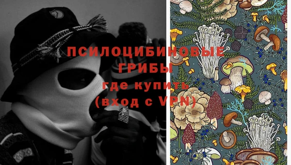 молекула духа Куйбышев