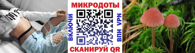 Купить закладки  Электросталь  Псилоцибиновые грибы ЛСД 